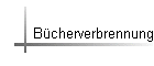 Bcherverbrennung