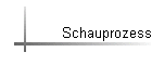 Schauprozess