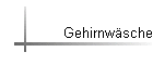 Gehirnwsche