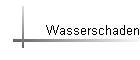 Wasserschaden